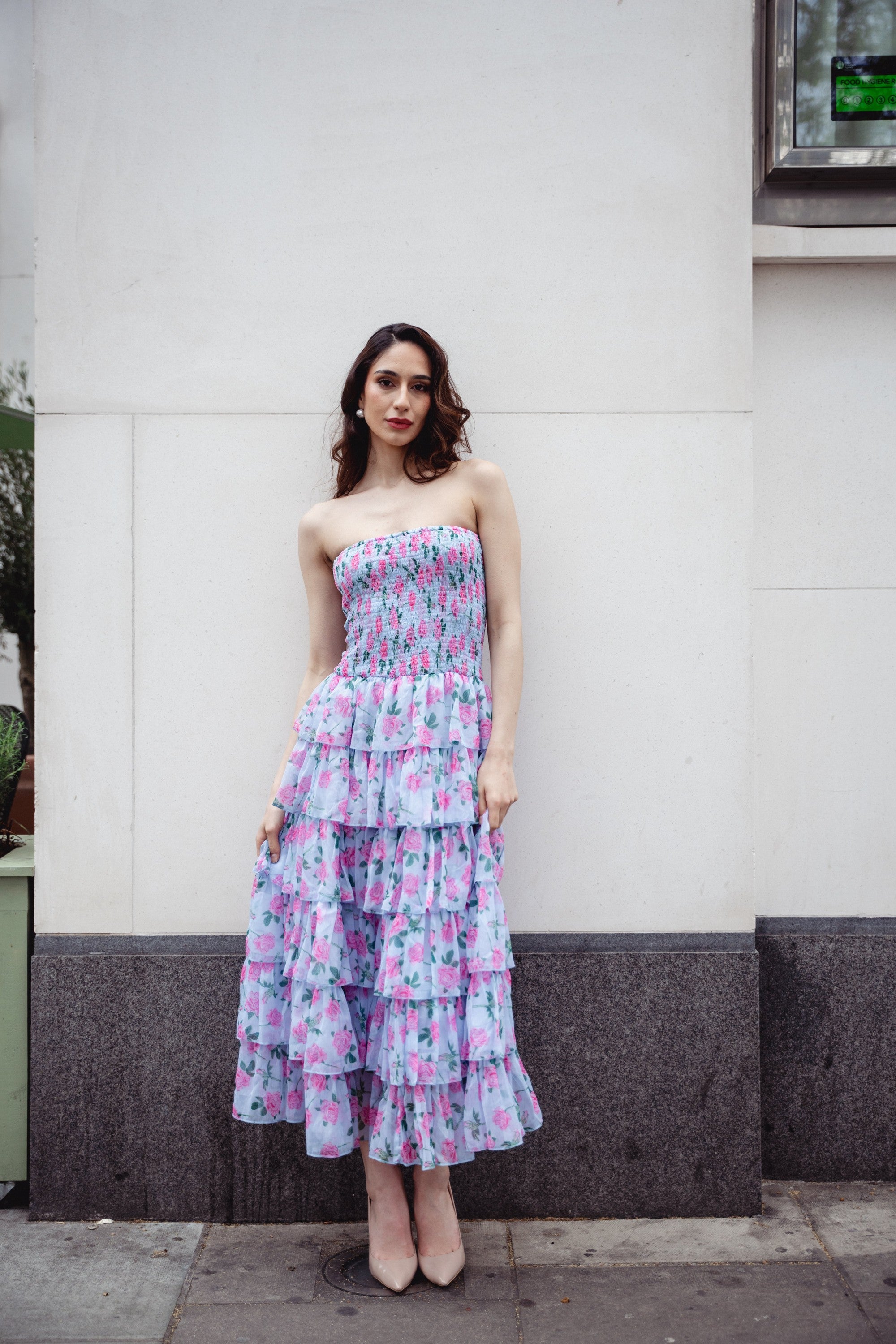 Mist & Roses Maxi Dress